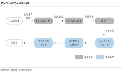 干貨丨遺傳病基因檢測行業研究報告